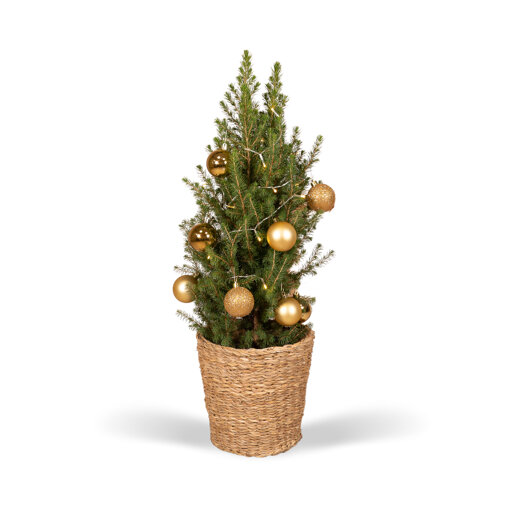 Kerstboom 80 cm inclusief gouden versiering